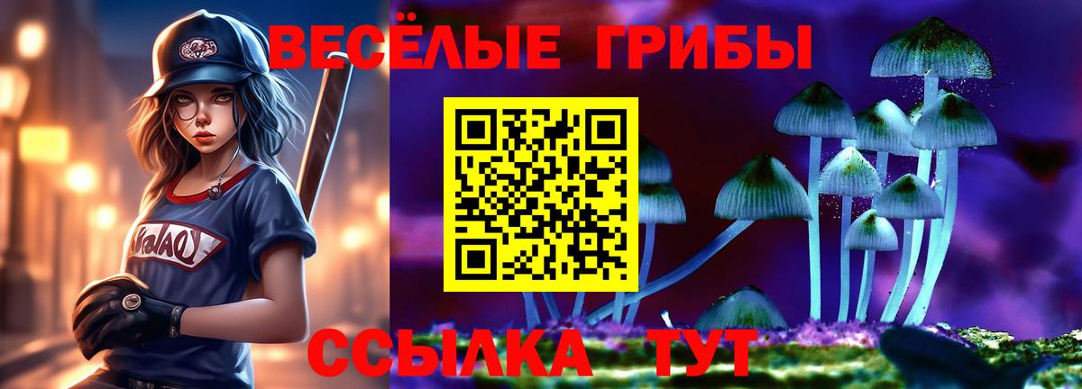Выборг  Псилоцибиновые грибы прущие грибы  Псилоцибиновые грибы мухоморы  Вход с VPN 