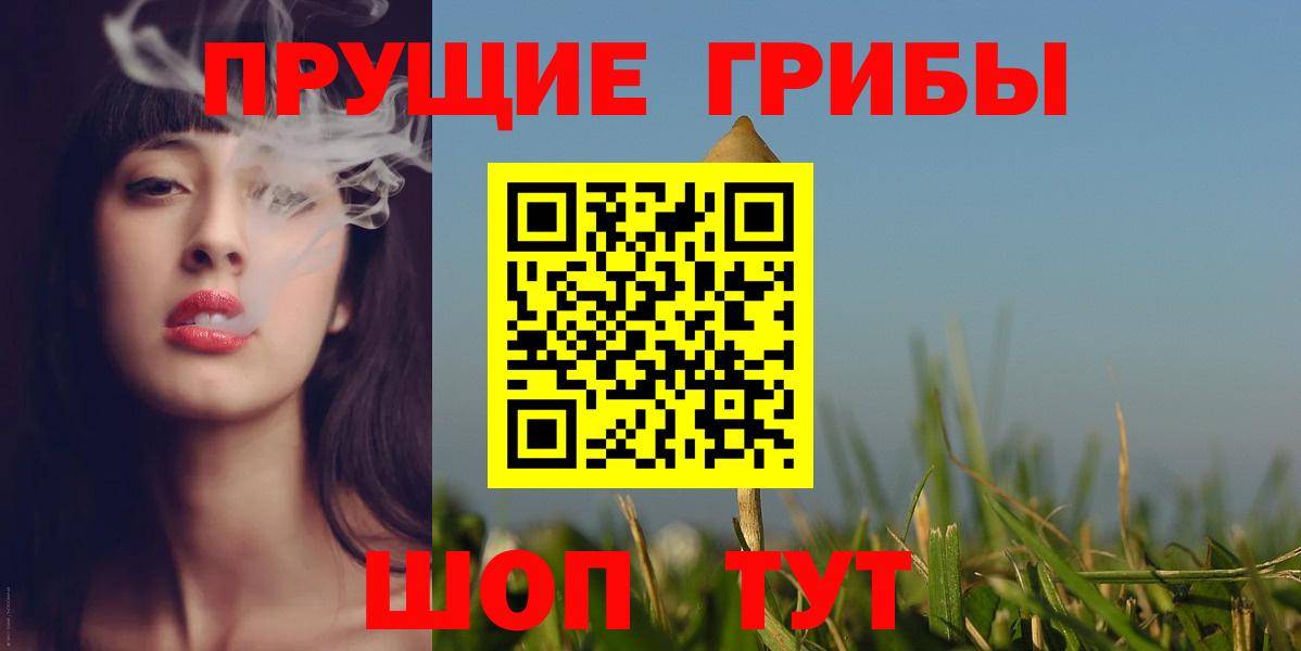 Галлюциногенные грибы Psilocybine cubensis Выборг